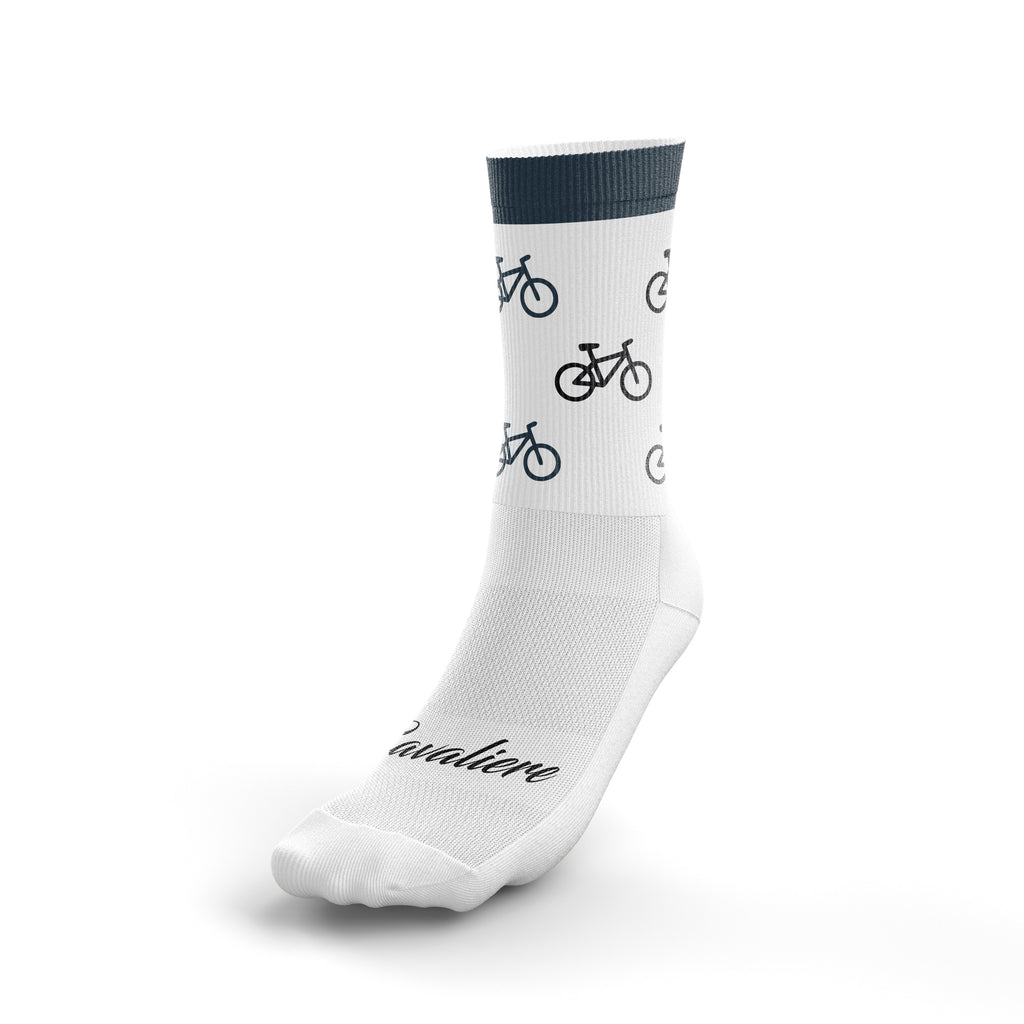BICIS